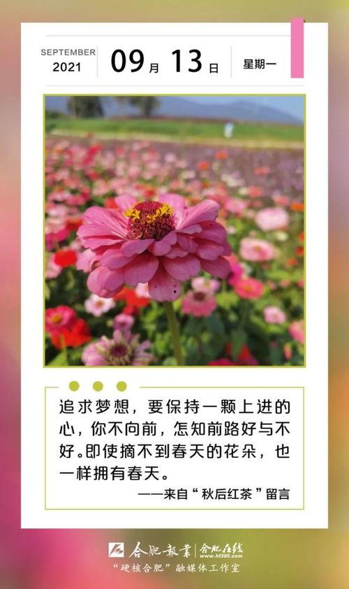 早安合肥在线观看,每日新鲜资讯，开启美好一天